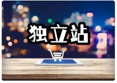 為什么說未來會(huì)人手一個(gè)跨境電商獨(dú)立站？