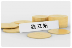 跨境電商新手小白要做獨(dú)立站？前景如何？