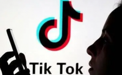國內(nèi)賣家如何通過Tik Tok做跨境電商呢？